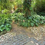 Faludi Vendeghaz 沃尼奥尔茨沃什海吉