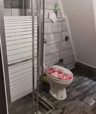 Faludi Vendeghaz *