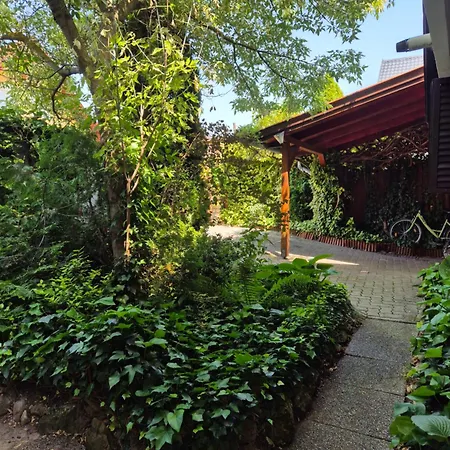 بيت للعطل Faludi Vendeghaz