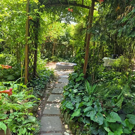 بيت للعطل Faludi Vendeghaz *