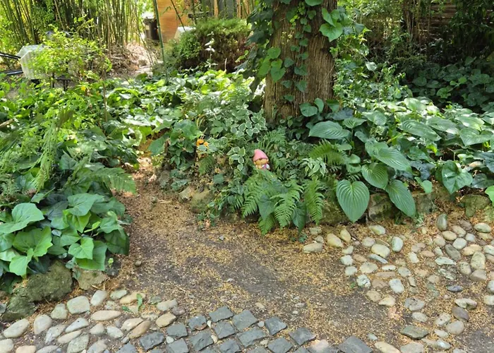 Faludi Vendeghaz فونيارتْسفاشغ