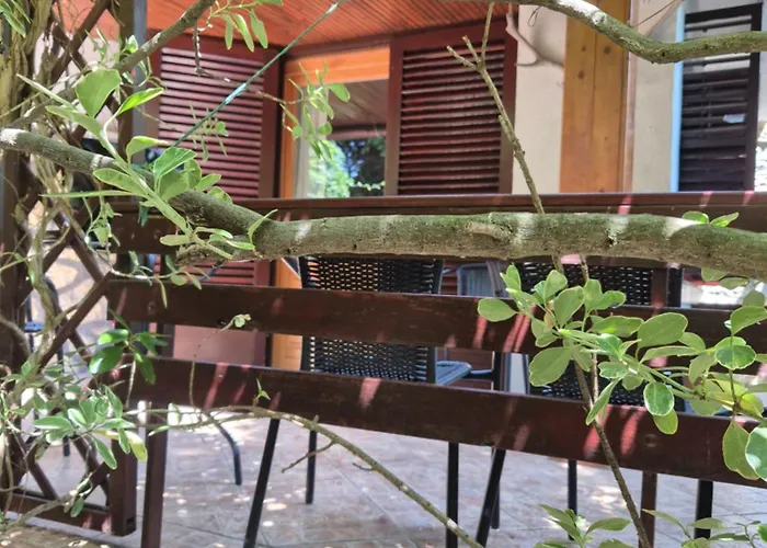 Faludi Vendeghaz פוניארצוושהג'